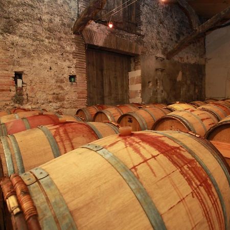 Chateau De Mayragues Castelnau-de-Montmiral エクステリア 写真