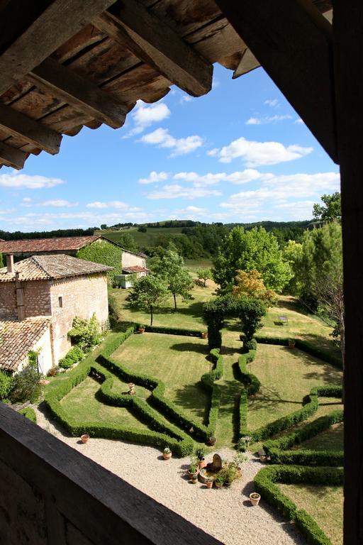 Chateau De Mayragues Castelnau-de-Montmiral エクステリア 写真
