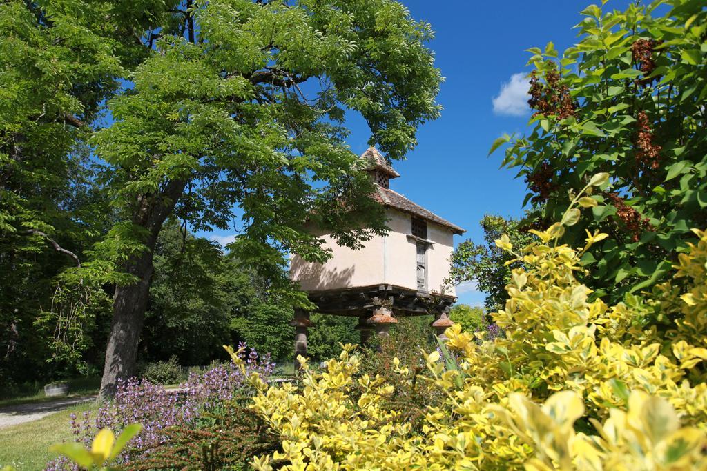 Chateau De Mayragues Castelnau-de-Montmiral エクステリア 写真