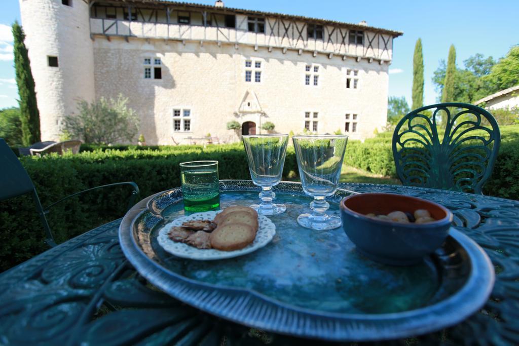 Chateau De Mayragues Castelnau-de-Montmiral エクステリア 写真