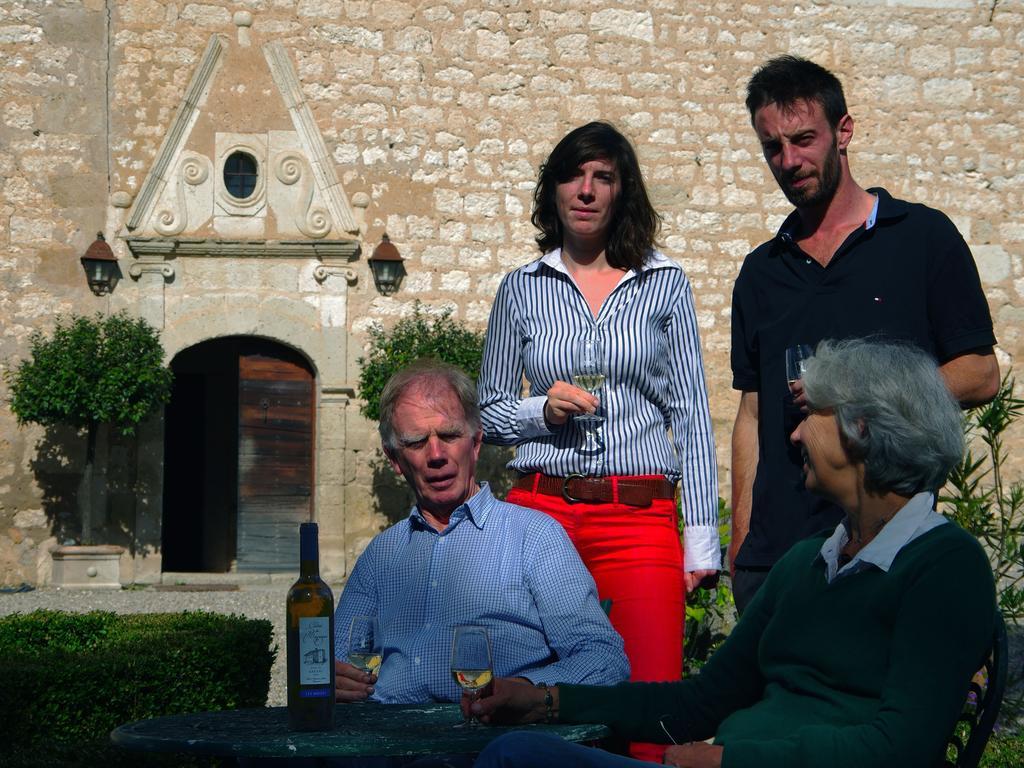 Chateau De Mayragues Castelnau-de-Montmiral エクステリア 写真