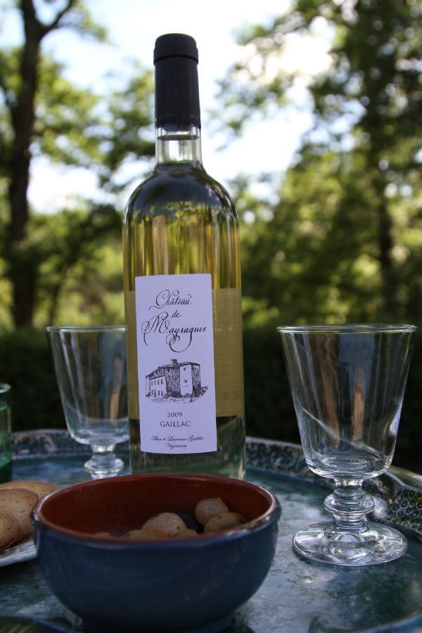 Chateau De Mayragues Castelnau-de-Montmiral エクステリア 写真