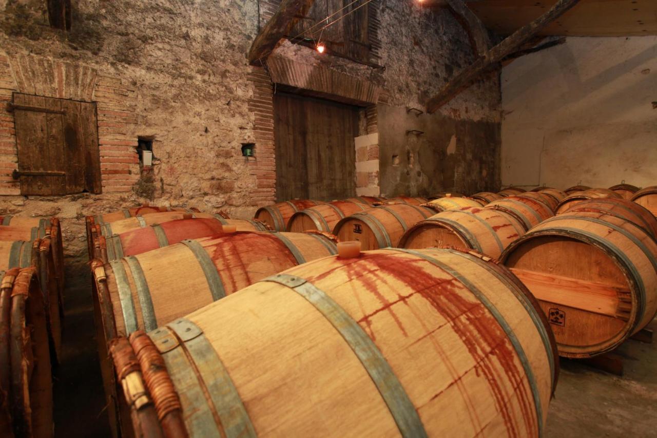 Chateau De Mayragues Castelnau-de-Montmiral エクステリア 写真