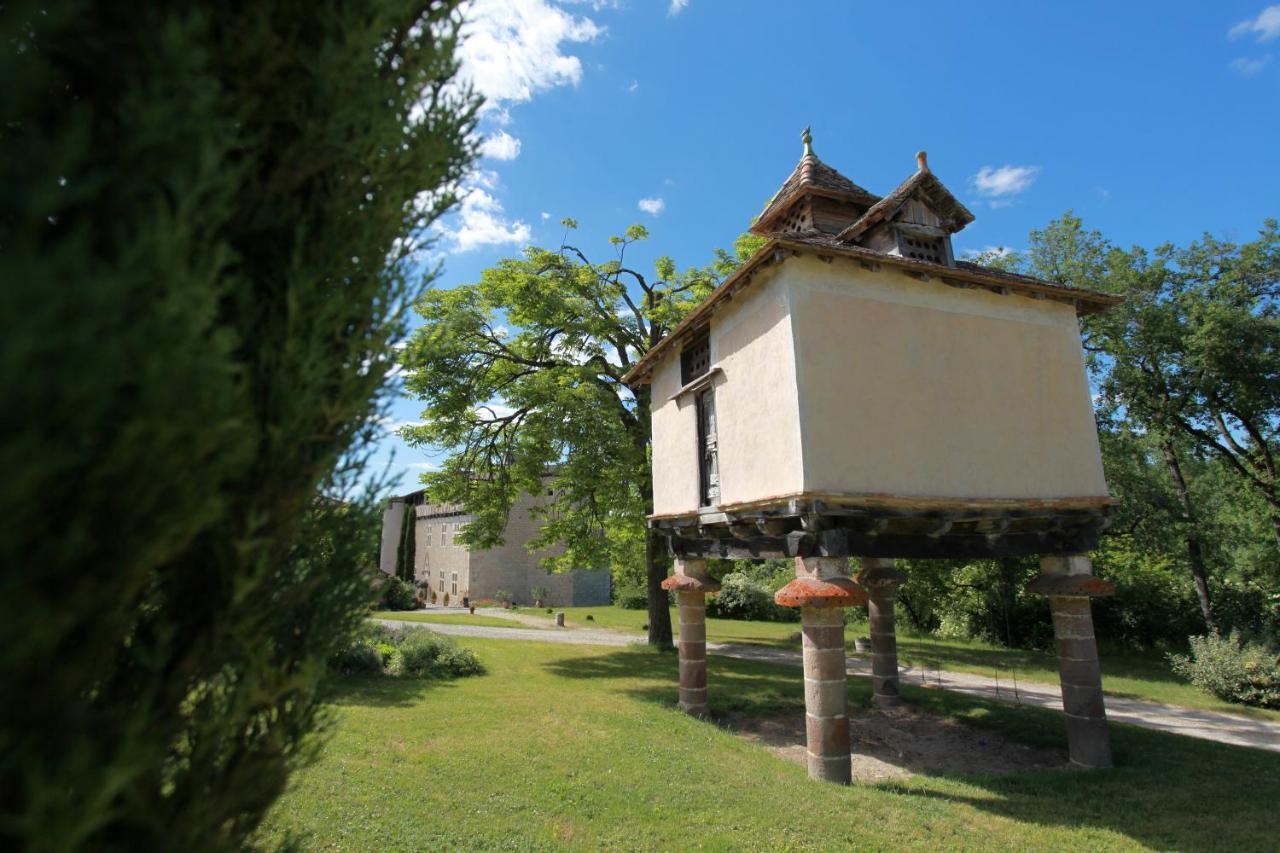 Chateau De Mayragues Castelnau-de-Montmiral エクステリア 写真